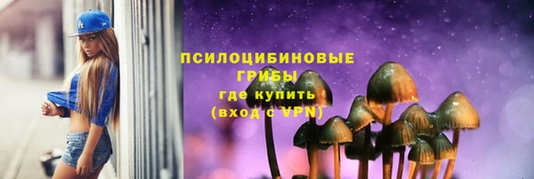 гидра Алексеевка