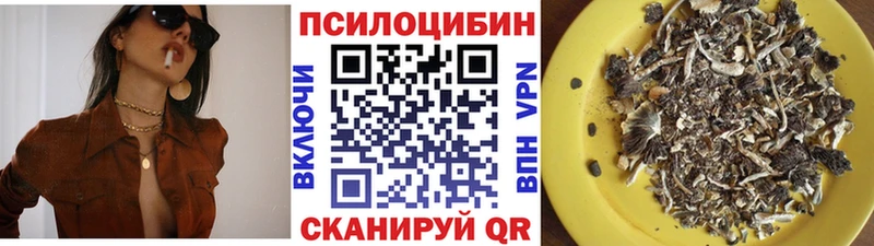 Галлюциногенные грибы GOLDEN TEACHER купить наркоту Елабуга